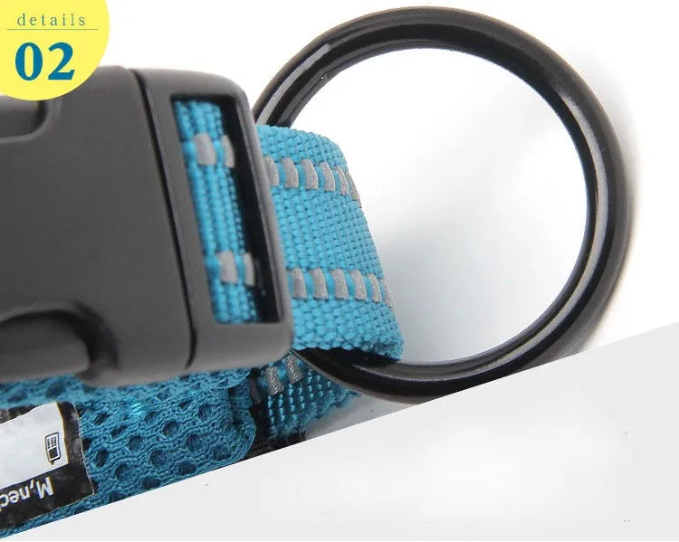 TRUELOVECN Truelove Nylon Dog Collar Padded Reflective Quick Release
