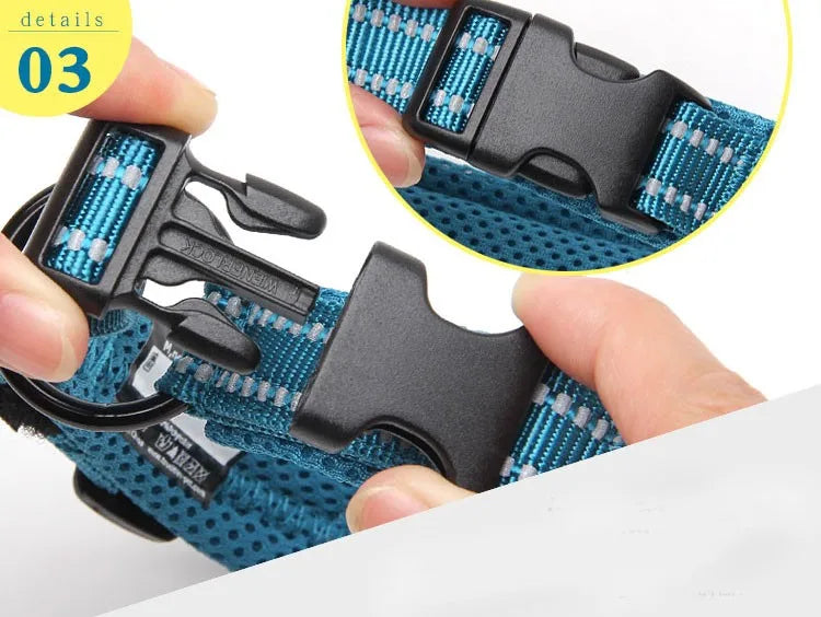 TRUELOVECN Truelove Nylon Dog Collar Padded Reflective Quick Release