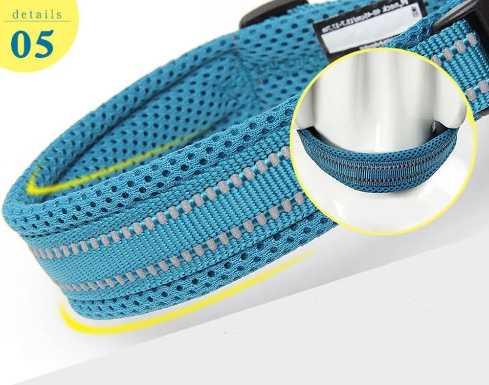 TRUELOVECN Truelove Nylon Dog Collar Padded Reflective Quick Release