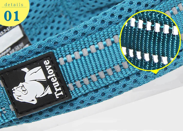 TRUELOVECN Truelove Nylon Dog Collar Padded Reflective Quick Release