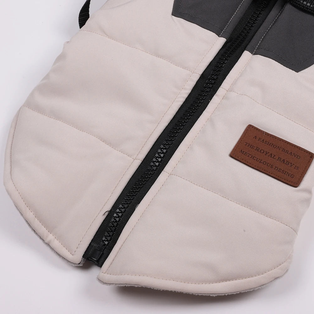 Guangdong Winter Dog Jacket With Harness Waterproof Coat