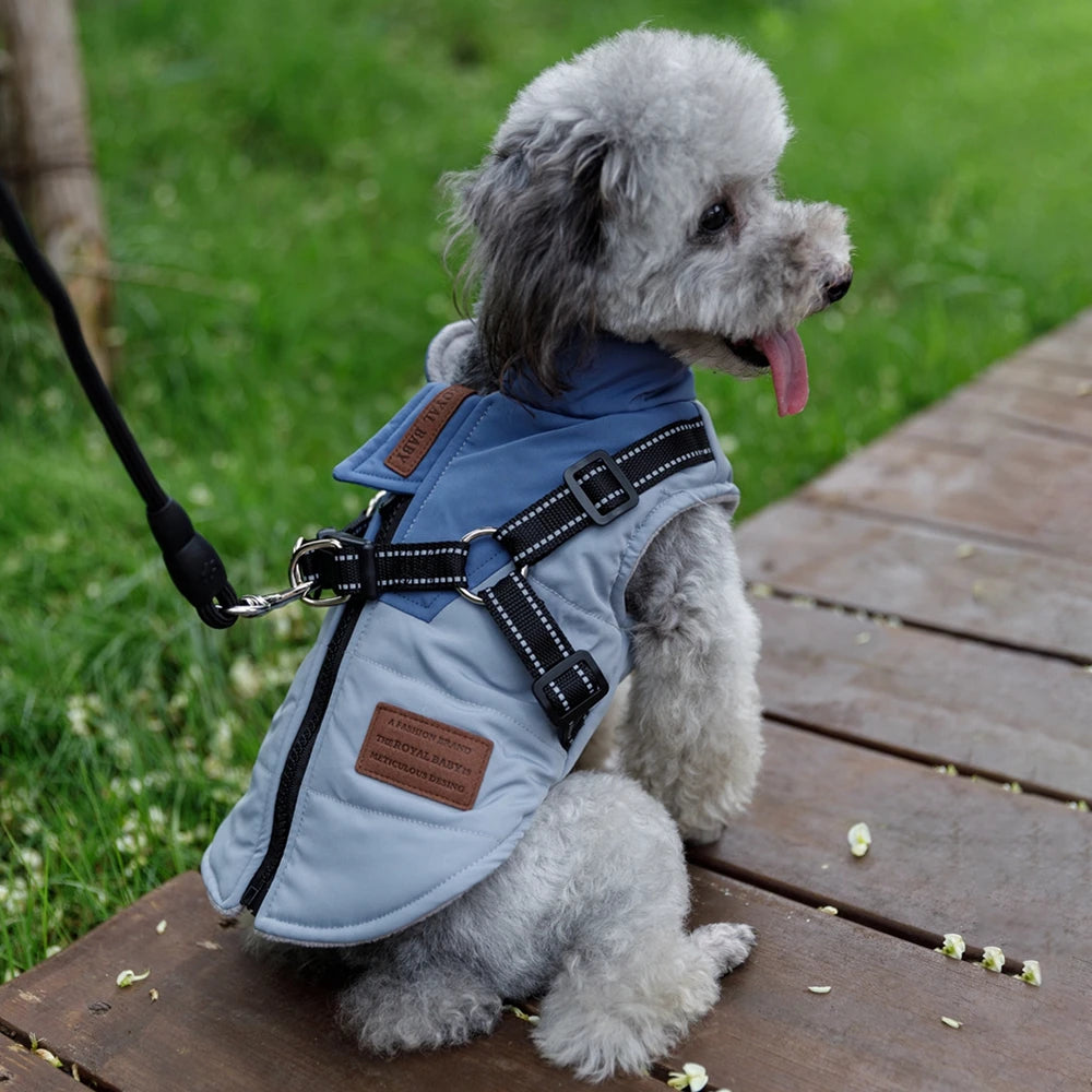 Guangdong Winter Dog Jacket With Harness Waterproof Coat