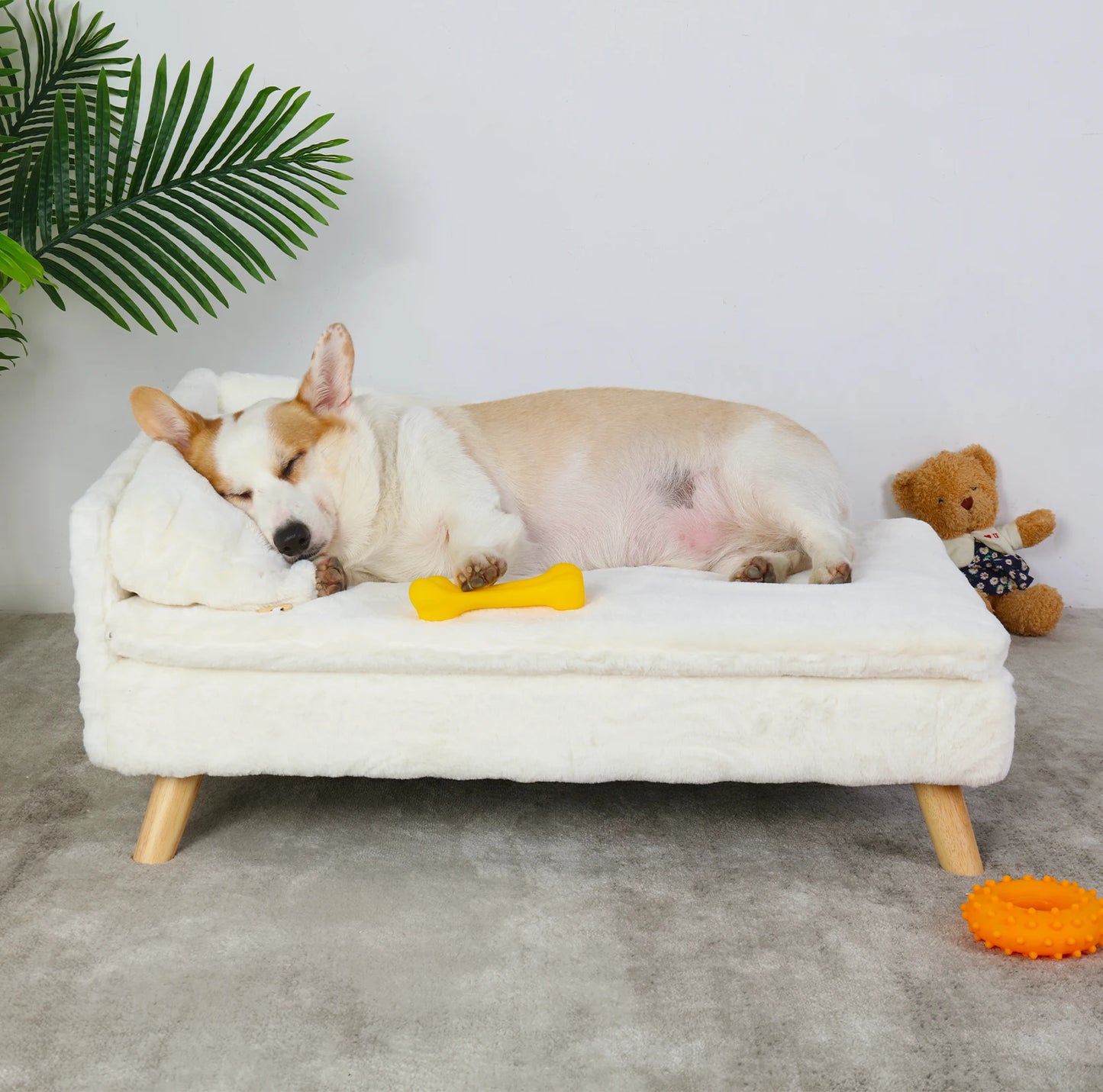 BINGOPAW Elevated Pet Bed With Cozy Pad Waterproof Wood Legs