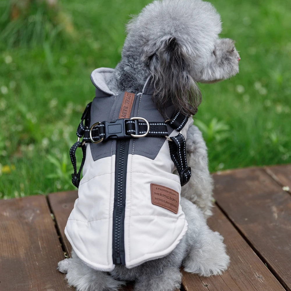 Guangdong Winter Dog Jacket With Harness Waterproof Coat