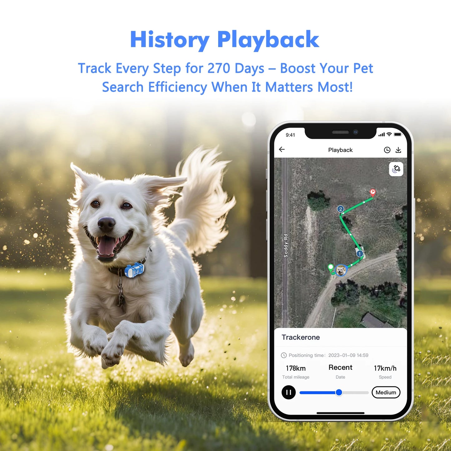 WANWAYTECH 4G Pet GPS Tracker Waterproof Live Tracking With App
