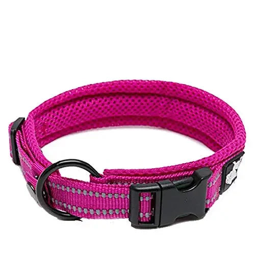TRUELOVECN Truelove Nylon Dog Collar Padded Reflective Quick Release