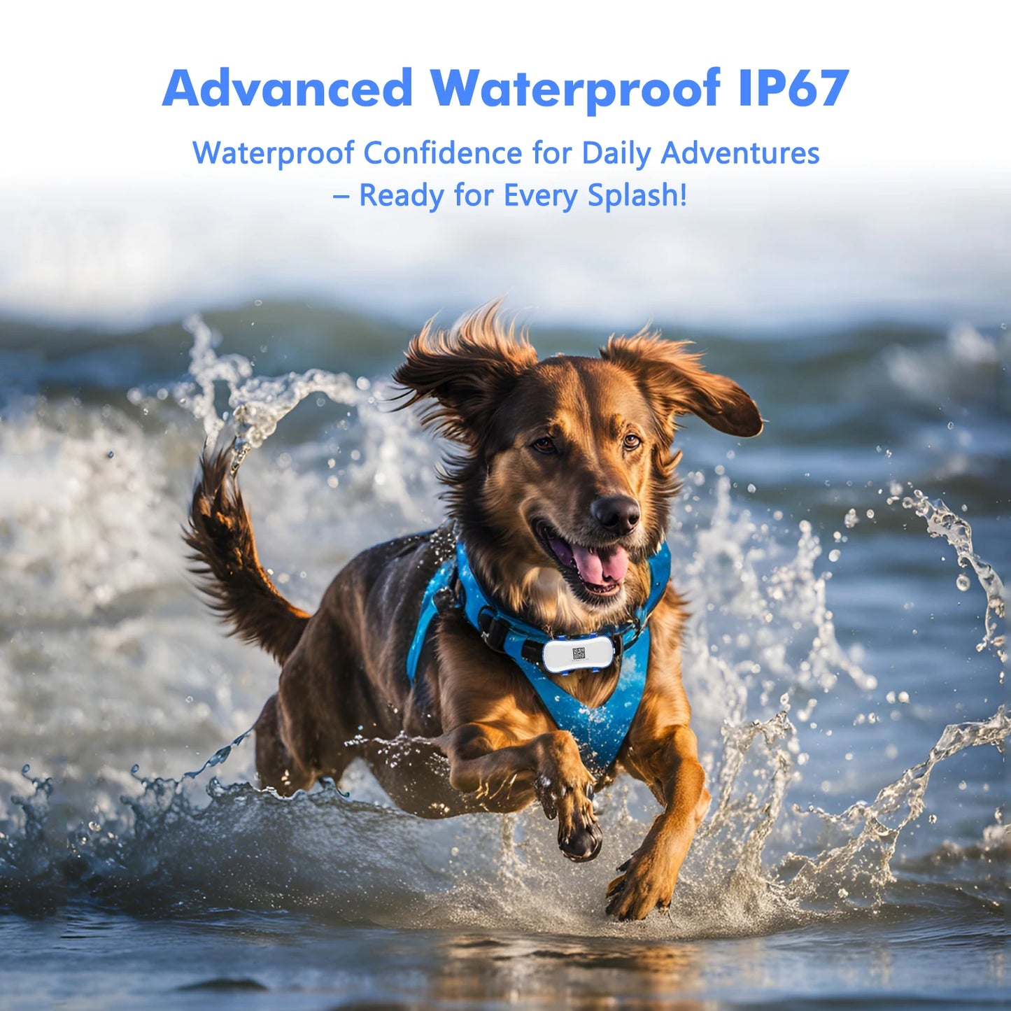 WANWAYTECH 4G Pet GPS Tracker With Waterproof Locator And App