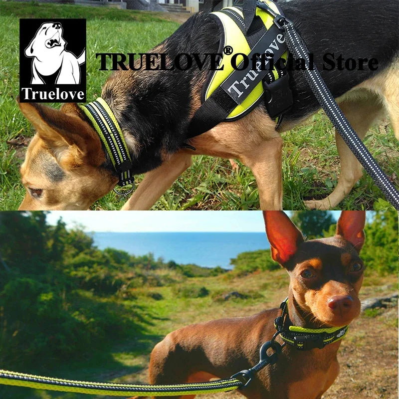 TRUELOVECN Truelove Nylon Dog Collar Padded Reflective Quick Release
