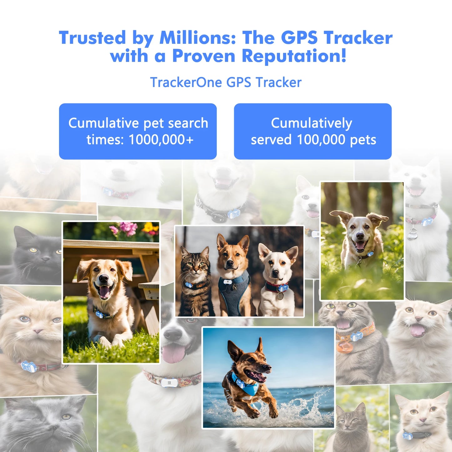 WANWAYTECH 4G Pet GPS Tracker Waterproof Live Tracking With App