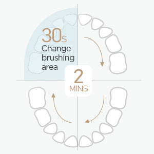 Fairywill FW507 Electric Sonic Toothbrush Waterproof USB Rechargeable